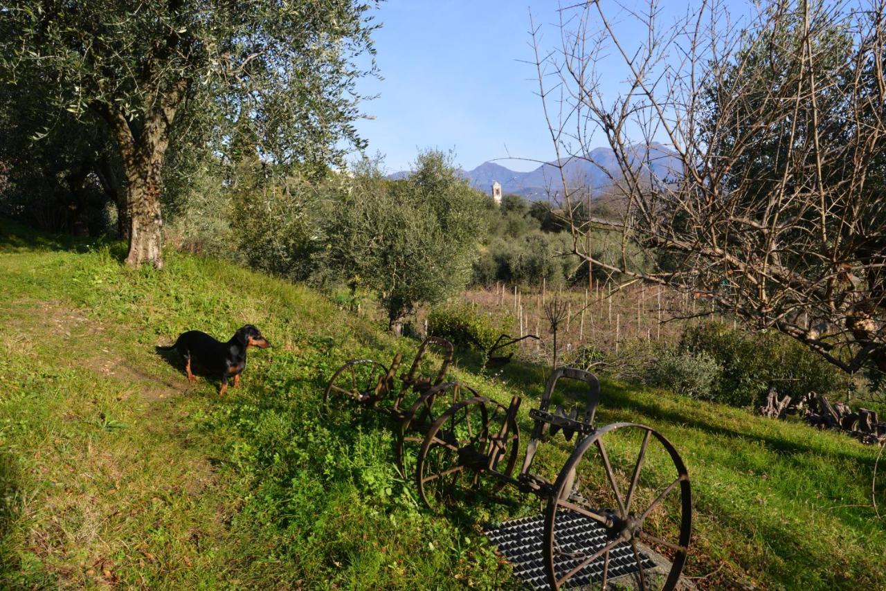 Antiche Mura Casa Vacanze Puegnago Kültér fotó